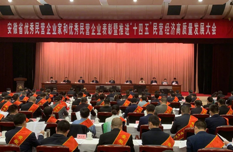 喜訊！元琛科技總經理梁燕被授予“安徽省優(yōu)秀民營企業(yè)家”稱號