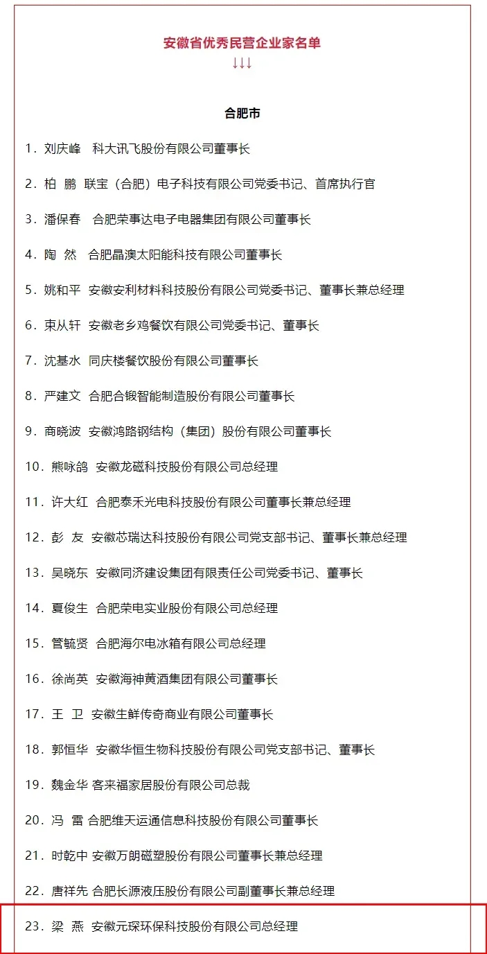 喜訊！元琛科技總經理梁燕被授予“安徽省優(yōu)秀民營企業(yè)家”稱號